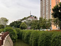 -神仙树公园