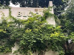 -杭州西湖风景名胜区-满觉陇四眼井