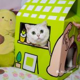 奈雪猫窝get🐈是谁家小可爱还没拥有呀！