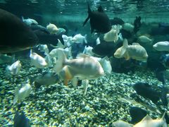 -成都浩海立方海洋公园