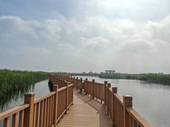 -白洋淀风景区