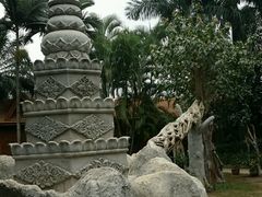 -瑞丽独树成林风景区