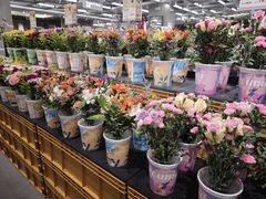 -鹿岛会员店(熙地港店)