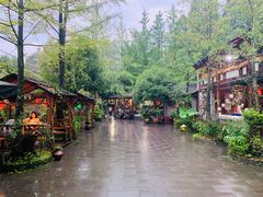 -青城甲(青城山店)