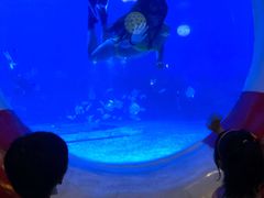 -烟台海昌鲸鲨海洋公园