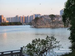 -九江市博物馆