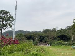 -风云岭森林公园