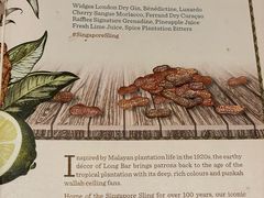 -Long Bar(莱佛士酒店)