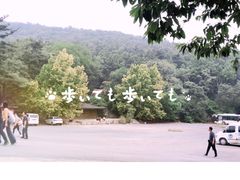 -沂蒙山旅游区云蒙景区(蒙山国家森林公园)
