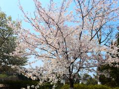 -苏州上方山国家森林公园