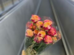 -淘米捞·米汤脆鲩鱼火锅(福田皇岗店)