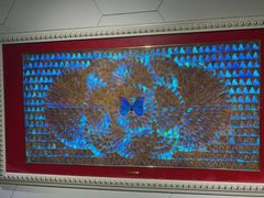 -上海昆虫博物馆