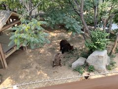 -石家庄市动物园