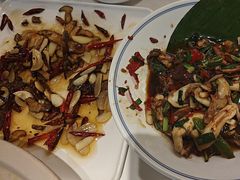 -滇铺子·云南特色菜·第九届野生菌美食节(东风东路c86店)