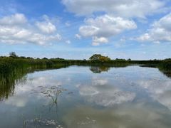 -盐城丹顶鹤湿地生态旅游区