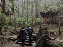 -凤栖山