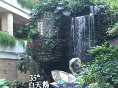 -白天鹅宾馆·流浮阁咖啡厅