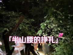 -紫金山山顶公园