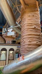 -卡通尼·Safari非洲探索乐园·生日会(金桥国际商业广场店)