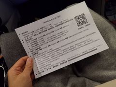 -枫花园汽车电影院(朝阳公园店)
