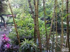 园林竹林-同庆堂(解放北路店)