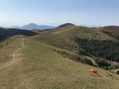 -大姆山草场