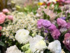 -爱尚幸福鲜花(上地实体店)