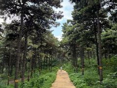 -北京西山国家森林公园