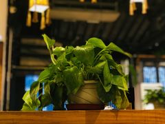 -蜜桃餐厅·古运河畔(南下塘店)