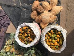 -尼甘布海鲜市场