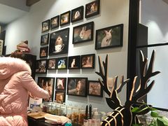 -藦茜花园宠物主题亲子互动体验馆(国顺东路店)