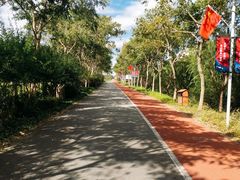 -上海长兴岛郊野公园