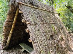 -云南屏边大围山国家公园