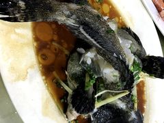 石斑鱼清蒸-四川小胡子海鲜(丁村万人海鲜广场店)