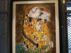 -喵屿·大理花园猫咖