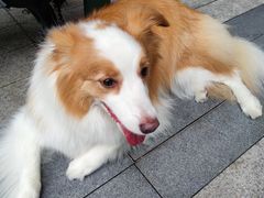 -星巴克臻选(杭州501城市广场1F店)