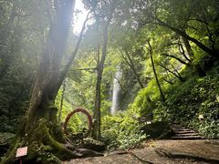 -莫里热带雨林景区
