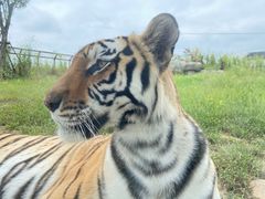 -祥源·阜阳生态乐园