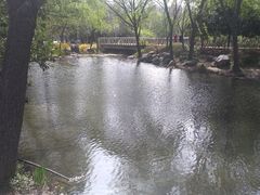 -郑州植物园