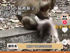-昆明动物园