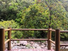 -海南热带雨林国家公园吊罗山景区