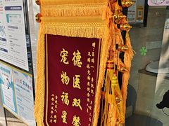 -瑞派天使宠物医院·神经外科·骨科·核磁(洛川中路店)