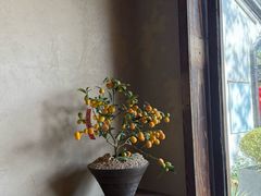 -院子餐厅·大锅菜·老杭帮(桥西直街店)