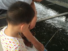 -小象钓虾·营地烧烤(洛溪店)