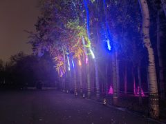 -枫花园汽车电影院(朝阳公园店)