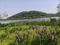 -南北湖风景区