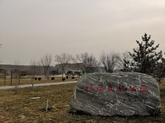 -正顺饸饹馆(中土商务楼店)