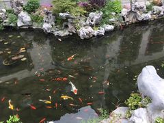 -杭州西湖柳莺里酒店