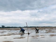 -刘家湾赶海园