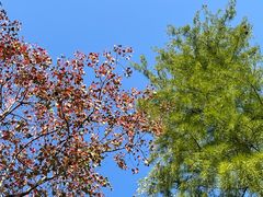 -长广溪湿地公园